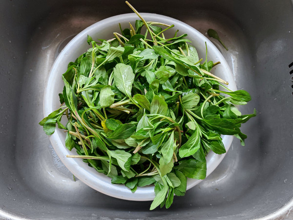 春天的第一道野菜——凉拌马兰头的做法步骤：1