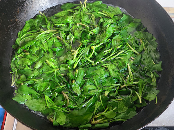 春天的第一道野菜——凉拌马兰头的做法步骤:2