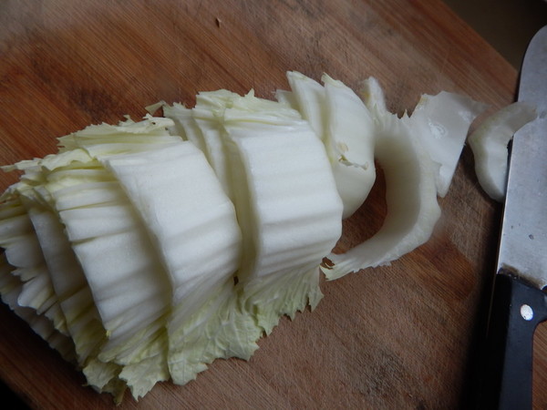 白菜豆卷炖排骨的做法步骤:9