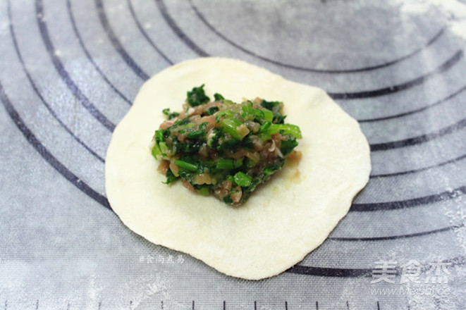 茼蒿鲜肉饺子的做法步骤:10