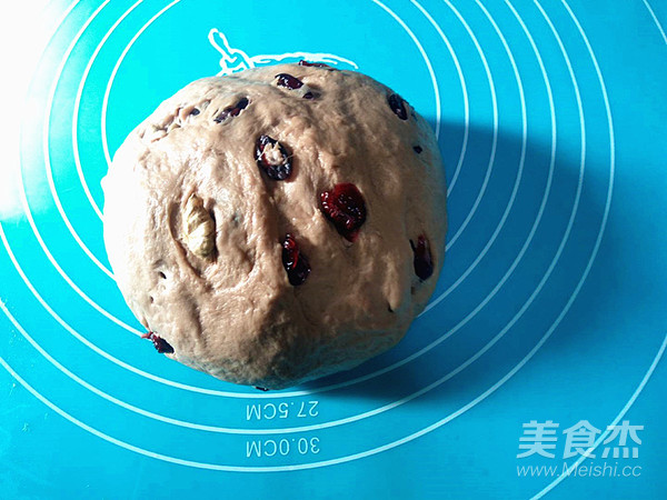 蔓越莓核桃软欧包的做法步骤:9