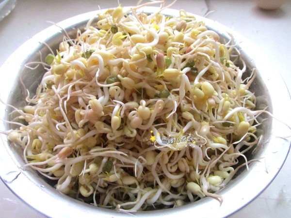 自制绿豆芽的做法步骤:6