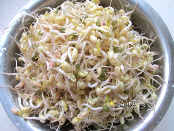 自制绿豆芽的做法步骤:7