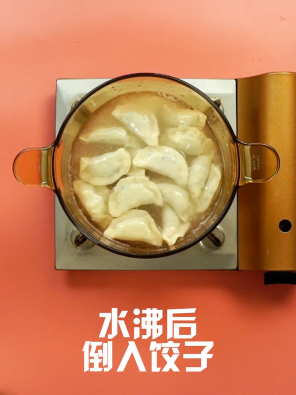 韭菜鸡蛋饺子的做法步骤：7