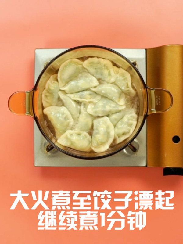 韭菜鸡蛋饺子的做法步骤：8