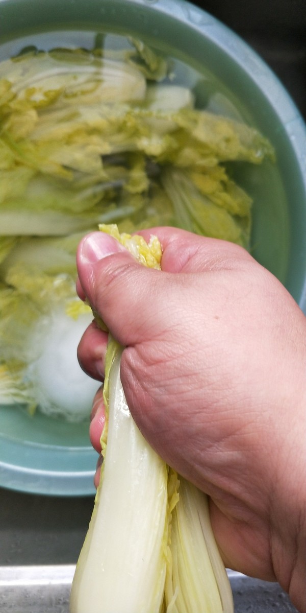 开水白菜的做法步骤:23