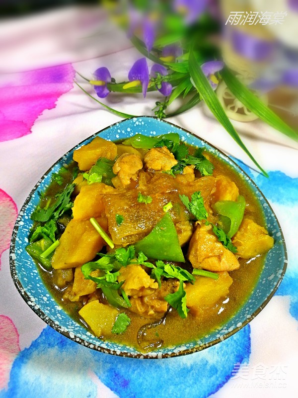 土豆鸡肉炖粉条的做法步骤:13
