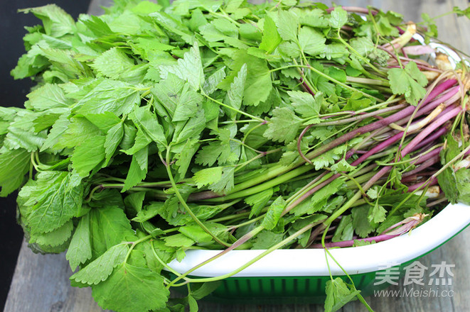 春食野菜——大叶芹馄饨的做法步骤：1