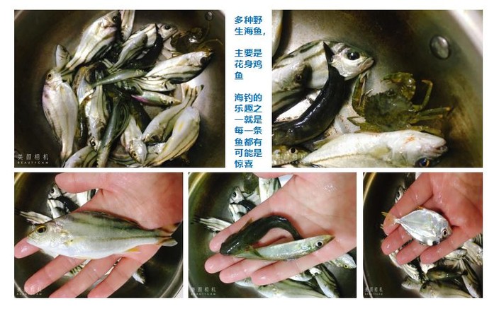 香煎花身鸡鱼的做法步骤:2