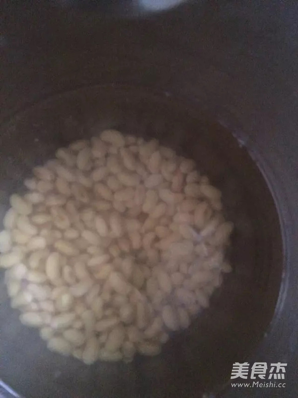 豆浆机豆腐花的做法步骤:2