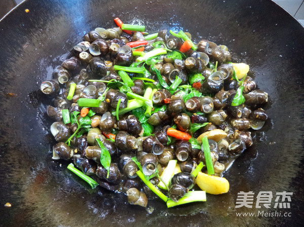 九层塔炒田螺的做法步骤：8