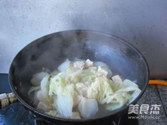 白菜炖冻豆腐的做法步骤：8