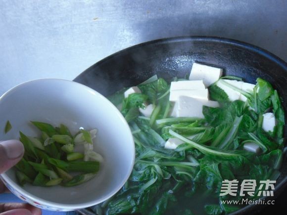 小白菜豆腐汤的做法步骤：6