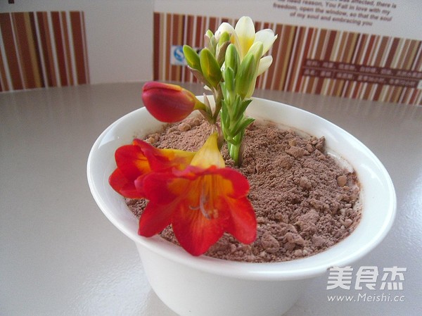 香雪兰盆栽的做法步骤:9