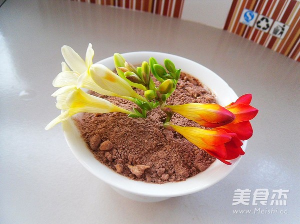 香雪兰盆栽的做法步骤:10