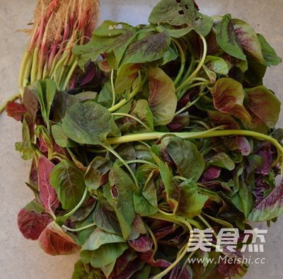 蒜蓉苋菜的做法步骤：1