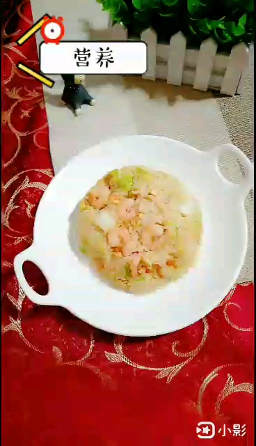 虾仁白菜炒饭的做法步骤：12