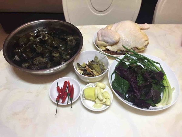 田螺鸡煲的做法步骤：1