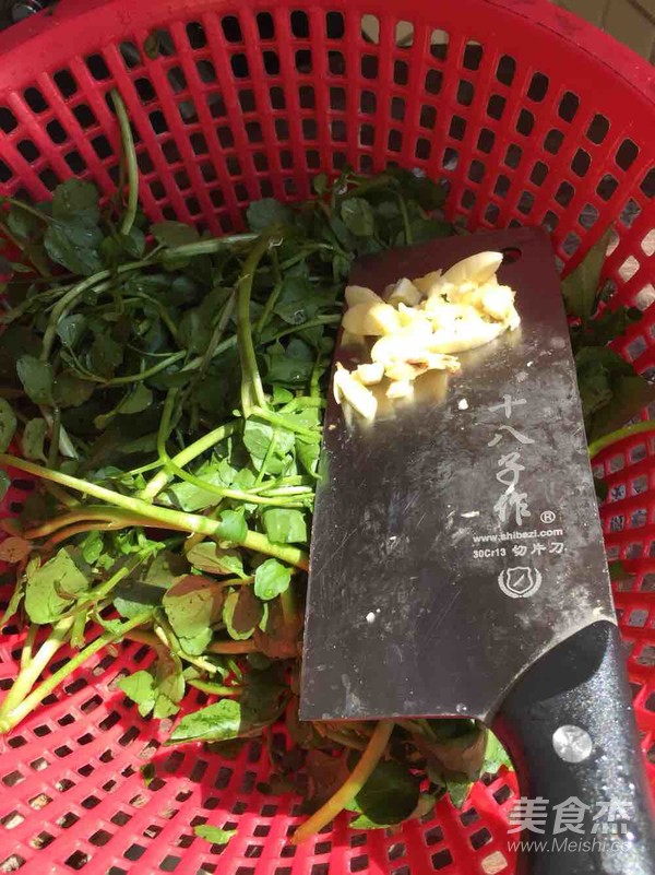 蒜蓉炒西洋菜的做法步骤：1