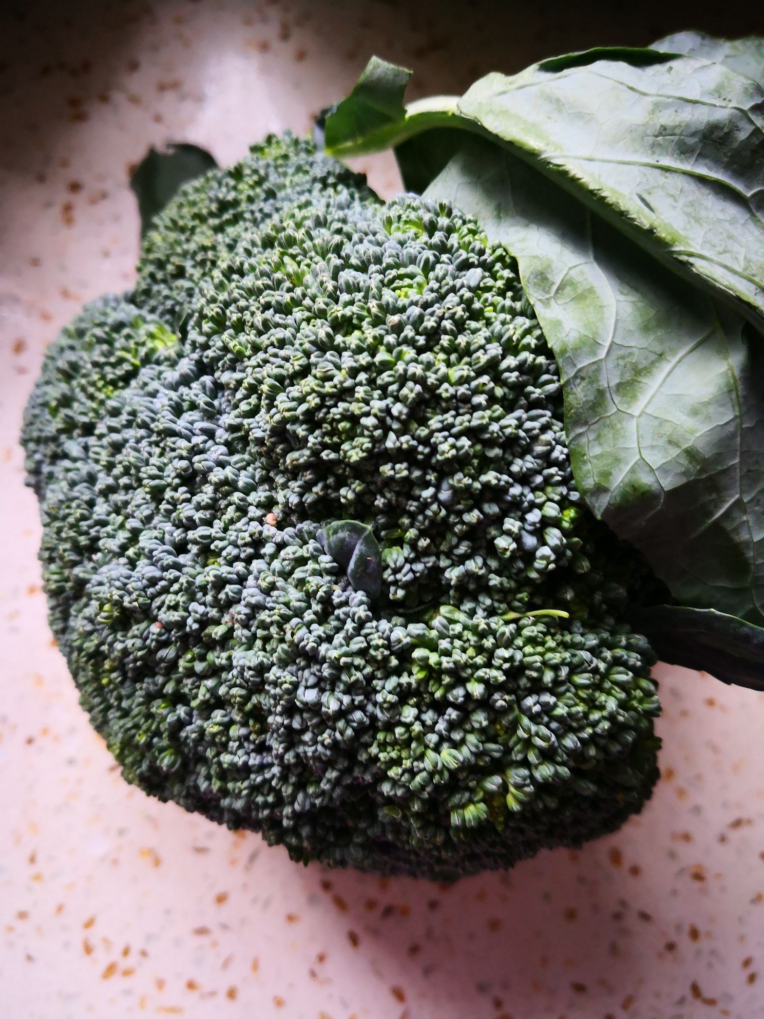 西兰花洗净,盐水寖泡片刻.