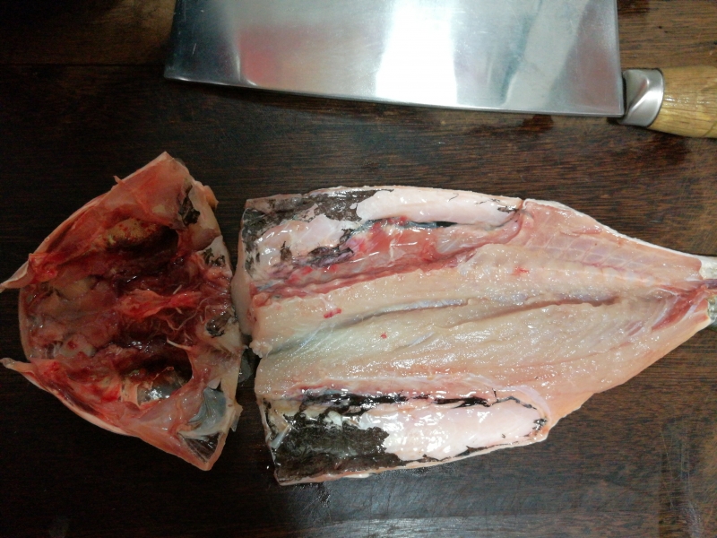 3,将鱼身从中间剖开,不要切断;2,切下鱼头;1,将新鲜梭鱼去除内脏和腮