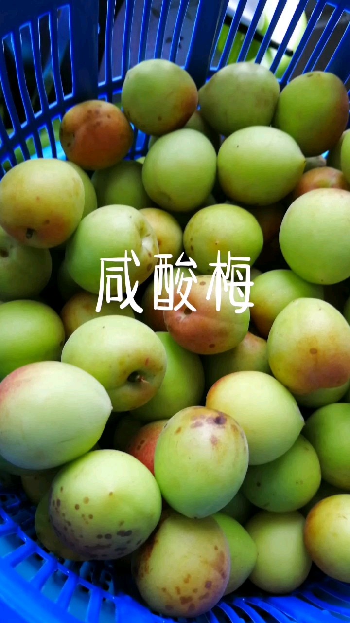 https://st-cn.meishi.cc/r/106/04/1813606/s1813606_158567776378836.jpg的做法