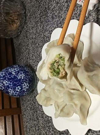 猪肉茴香饺子的做法