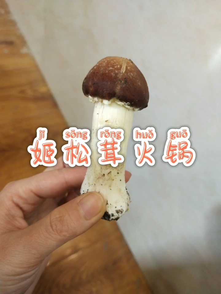 姬松茸火锅的做法