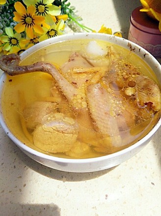 鲜淮山鸽子汤的做法