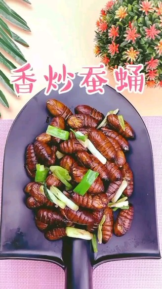 香炒蚕蛹-高蛋白特色菜的做法
