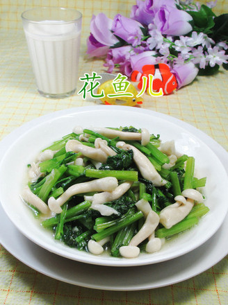 白玉菇炒芹菜