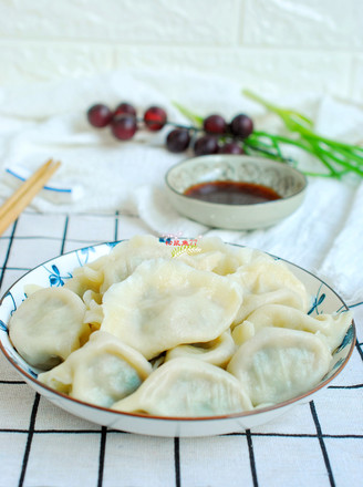 牛肉香菜饺子