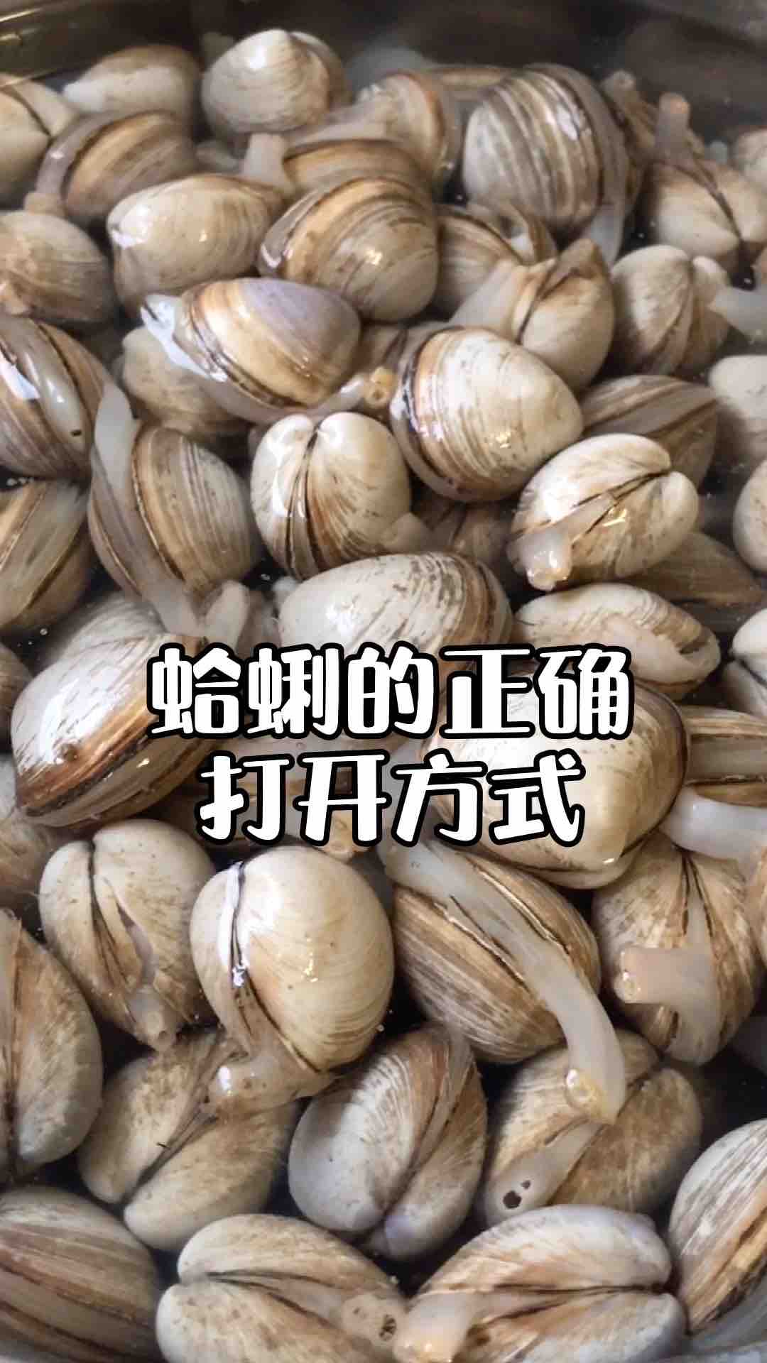 蛤蜊的正确清洗方法的做法