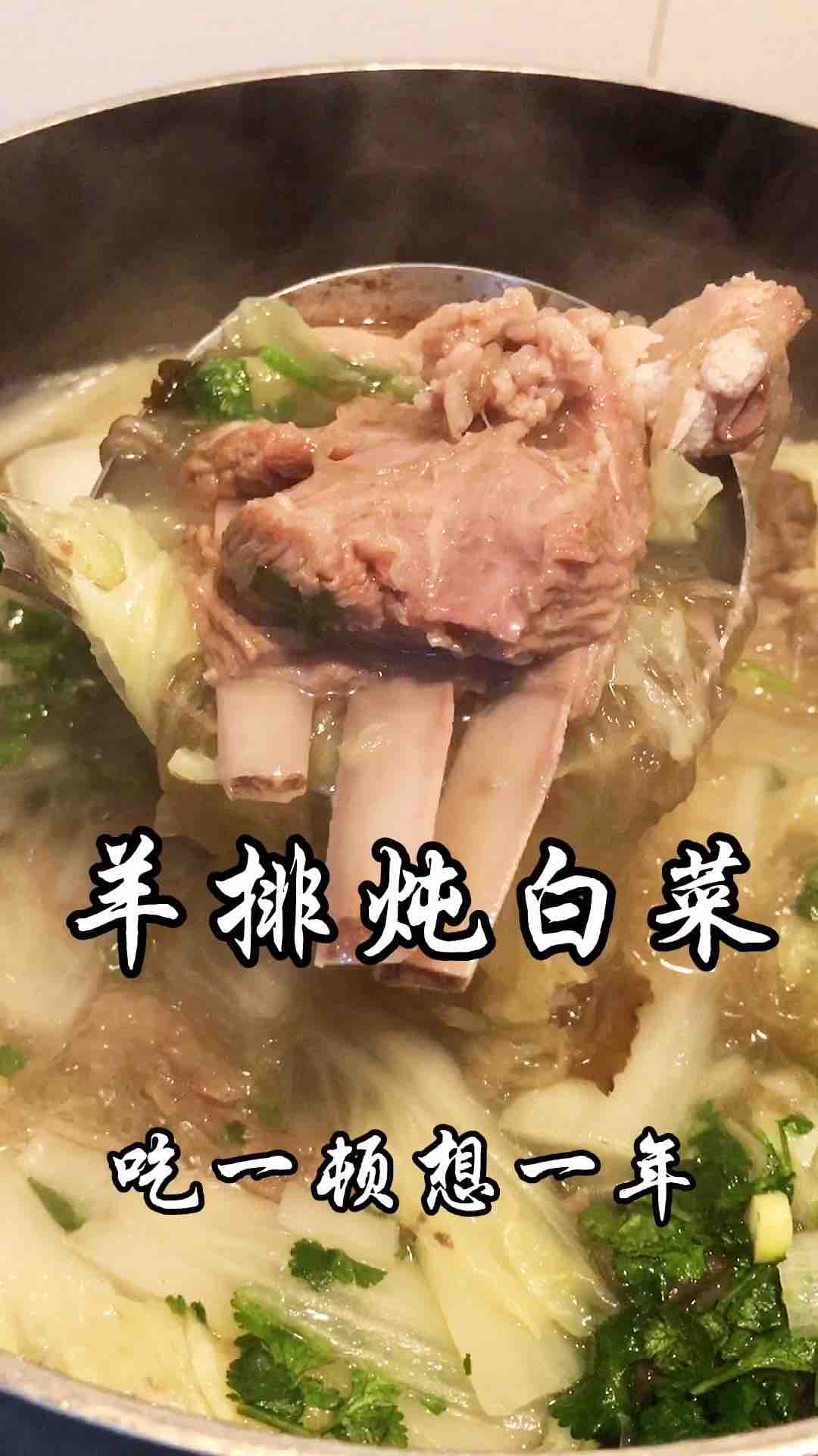 羊排炖白菜